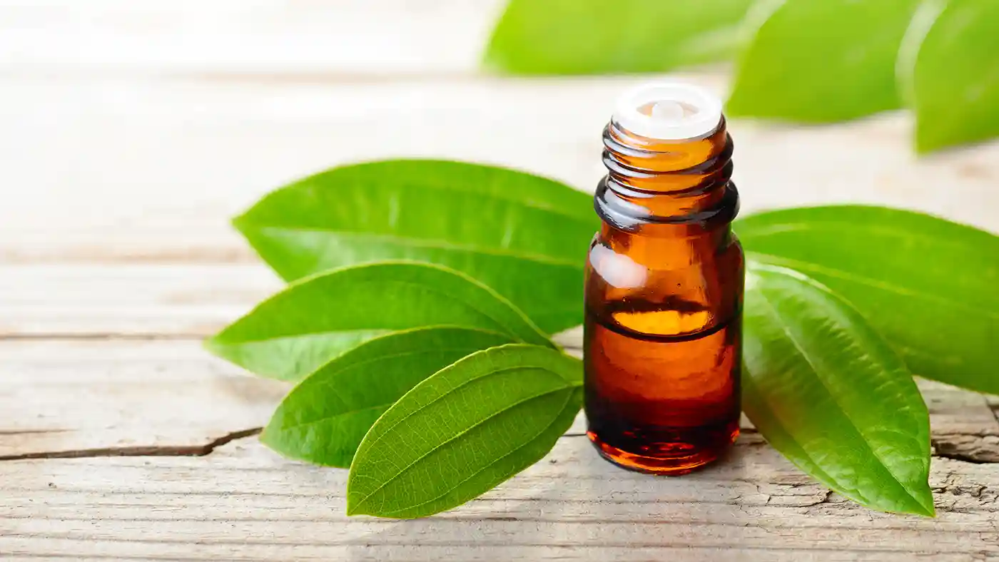 Cinnamon leaves with amber glass bottle