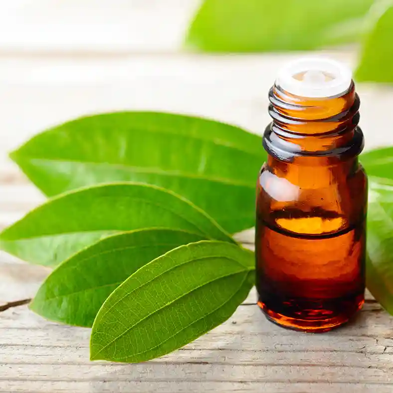 Cinnamon leaves with amber glass bottle